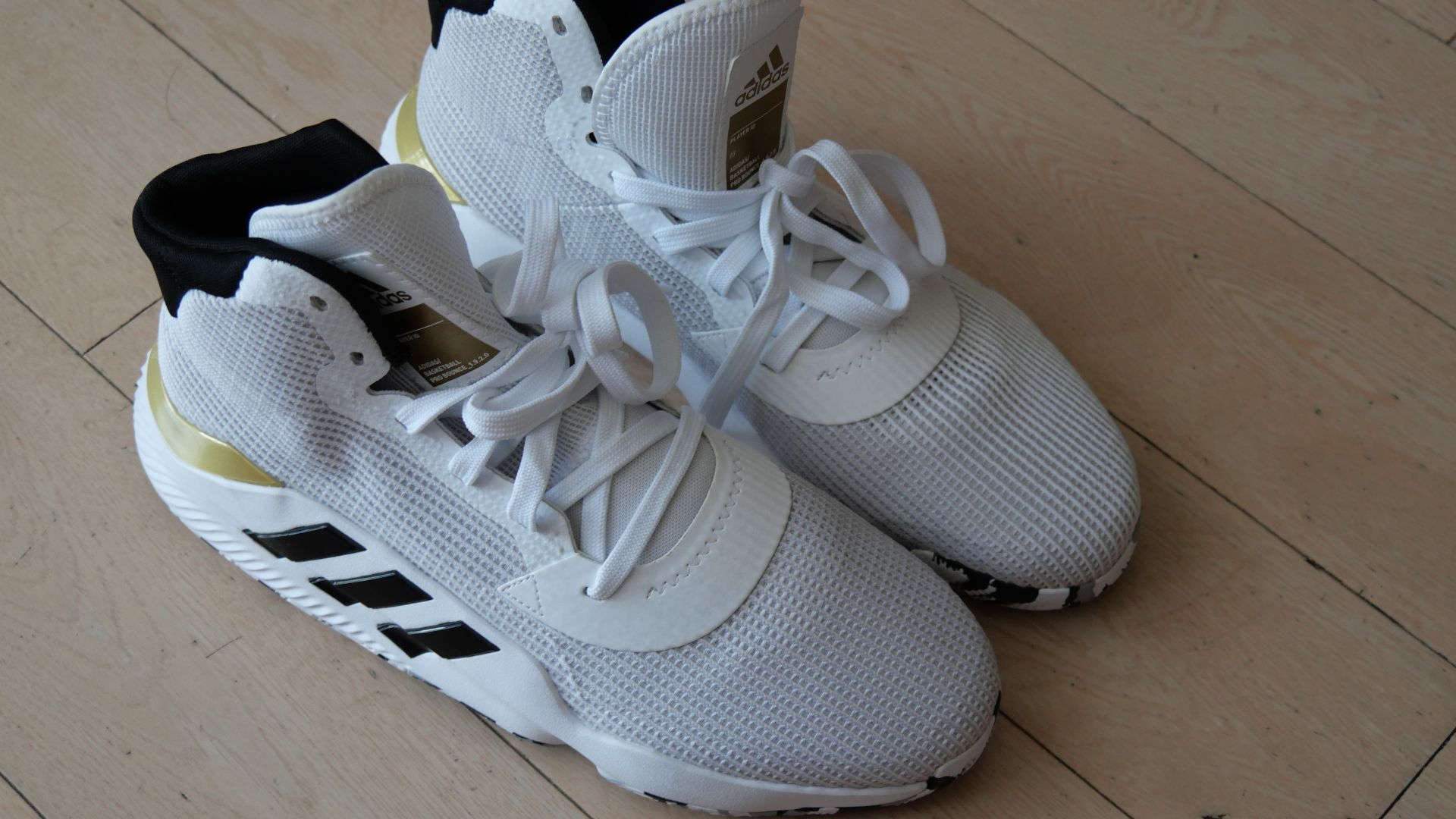 File:A Pair of White Adidas Basketball Shoe Size 46.jpg