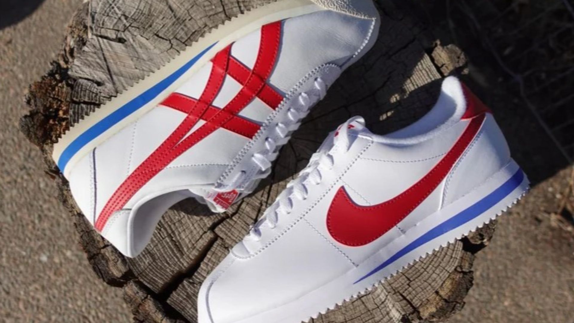 File:Corsair Cortez.jpg