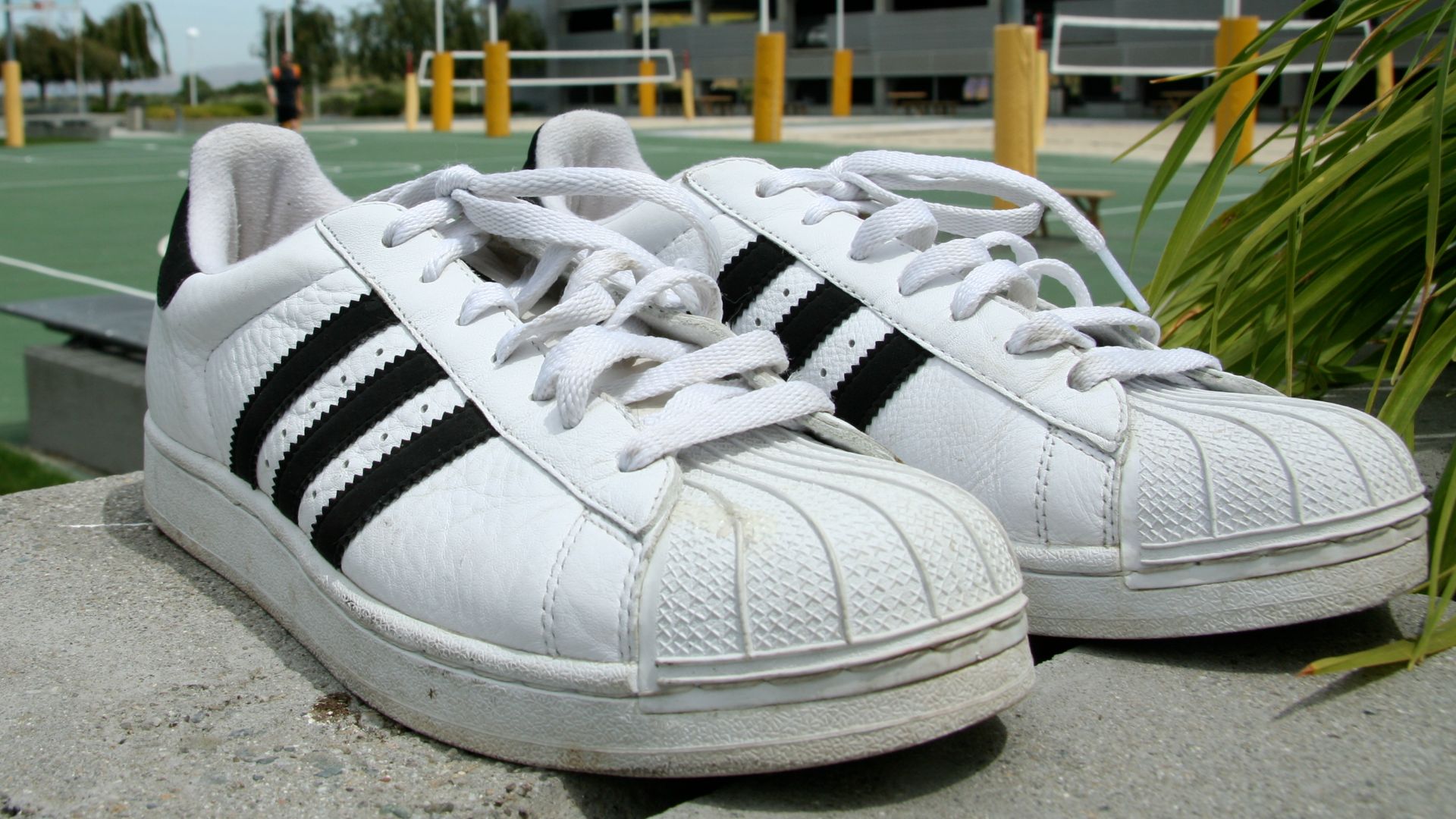 File:Adidas Superstar shoes pair.jpg