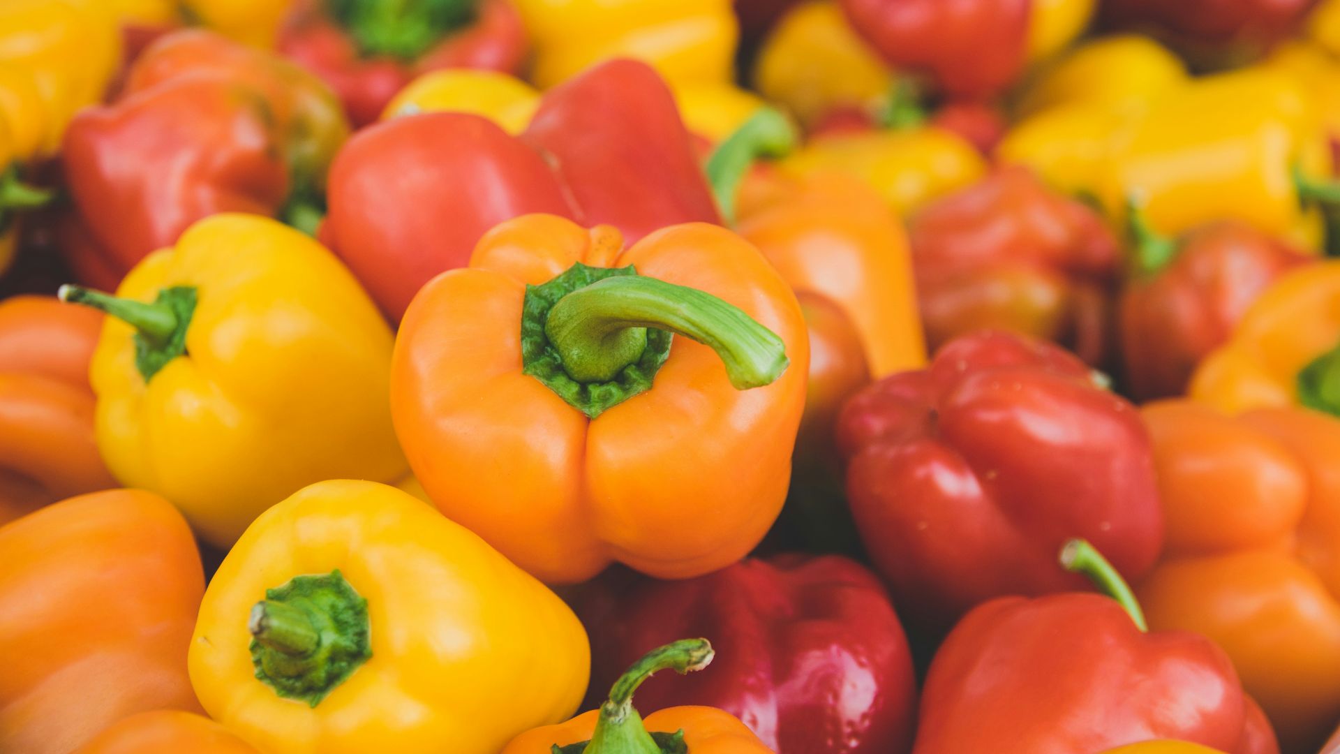 orange and red bellpepper lot
