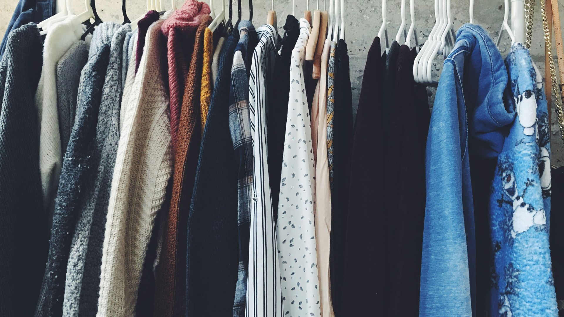 assorted-color clothes lot