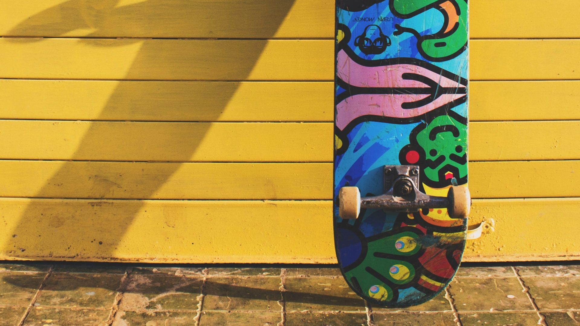 photo of blue multicolored skateboard