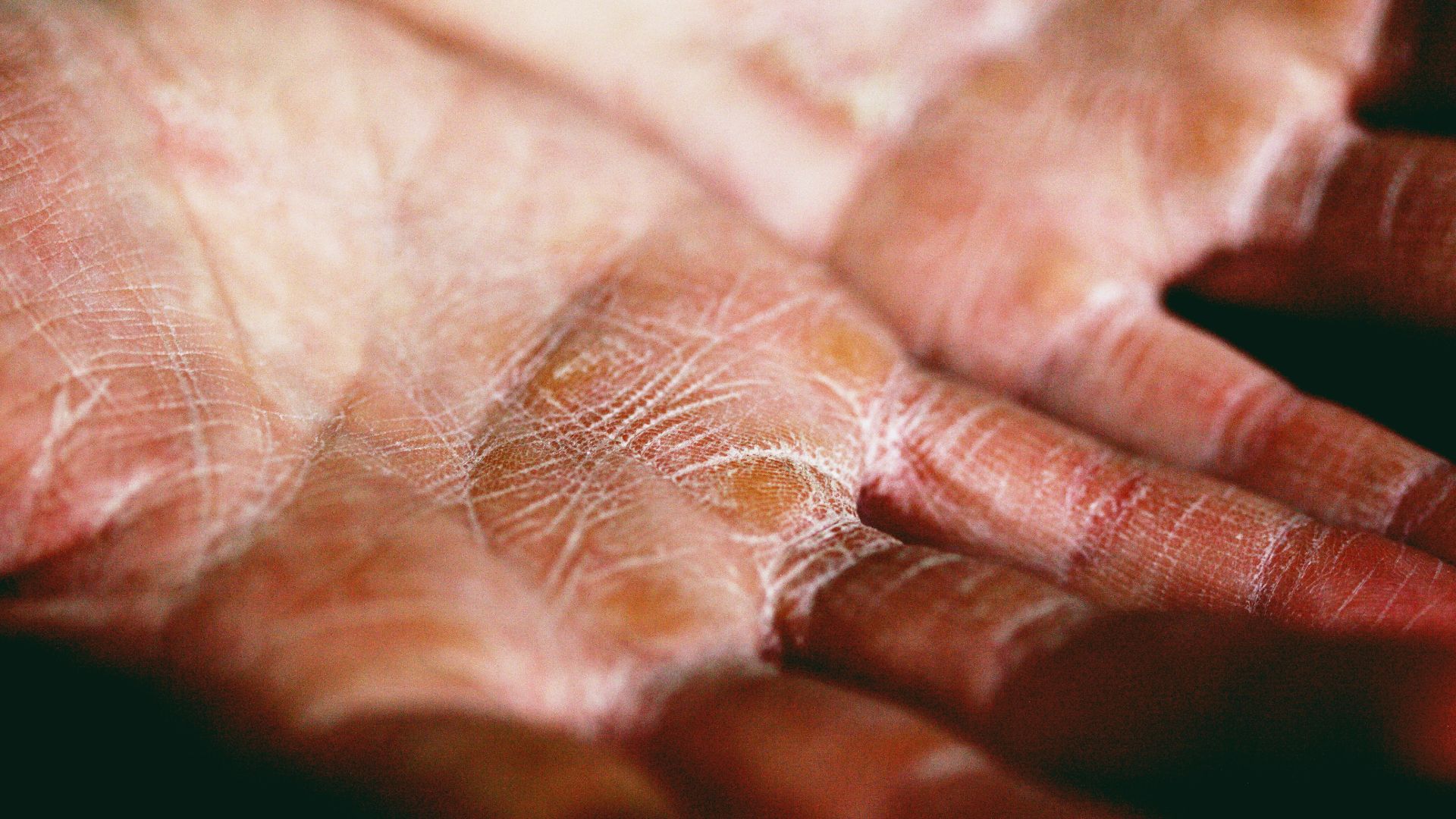 person holding brown and white textile
