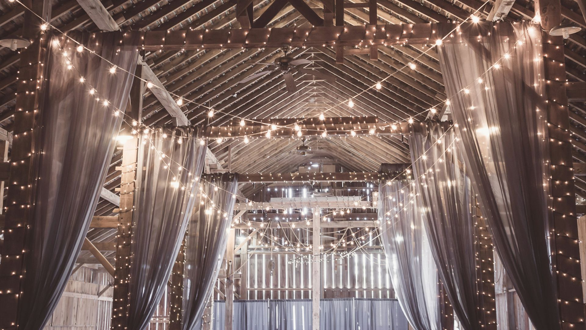 string lights in gazebo