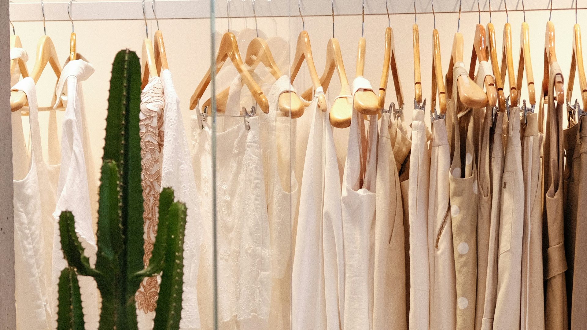 Cactus and white dresses on display rack