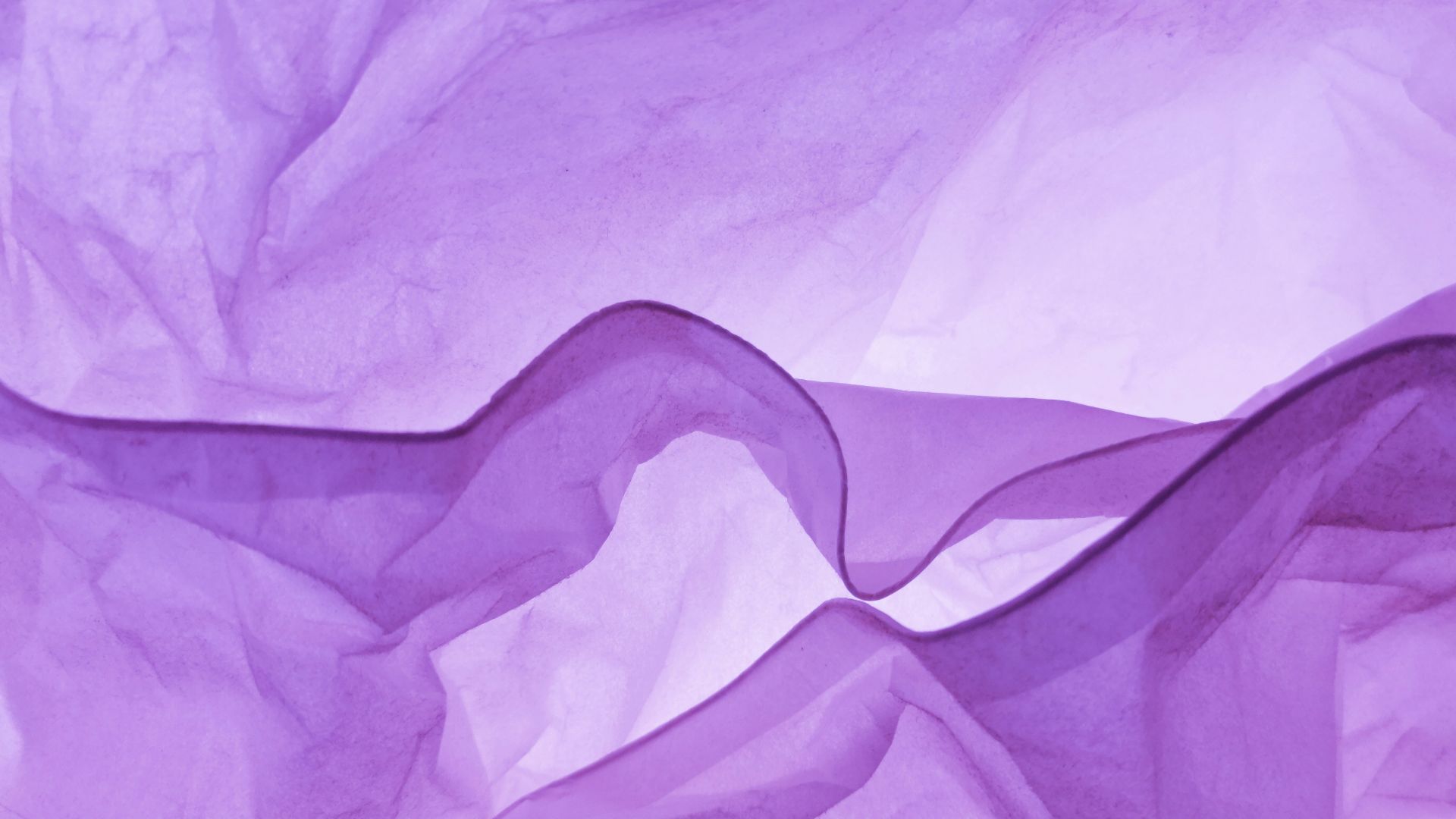 purple textile on white textile