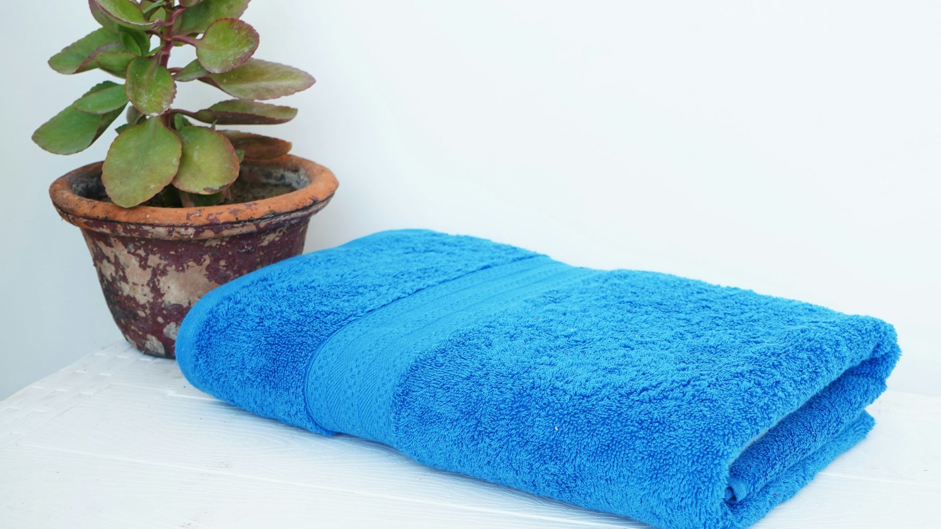 a blue towel sitting next to a potted plant