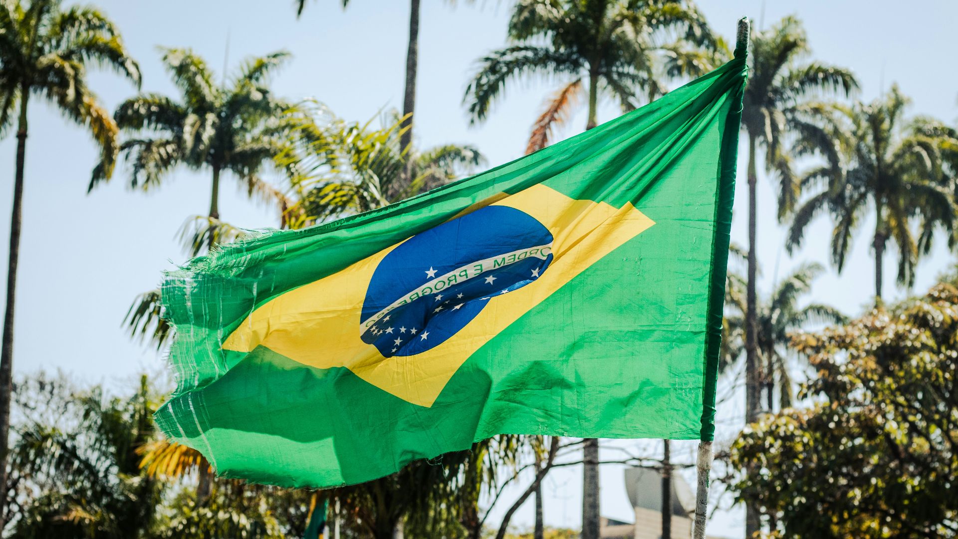 a flag flying in the wind with palm trees in the background