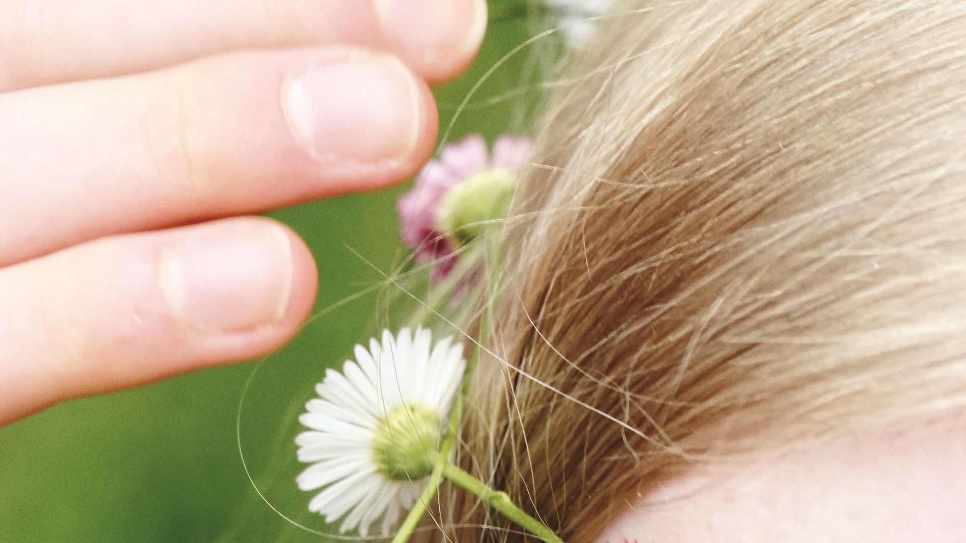 person holding white flower during daytime
