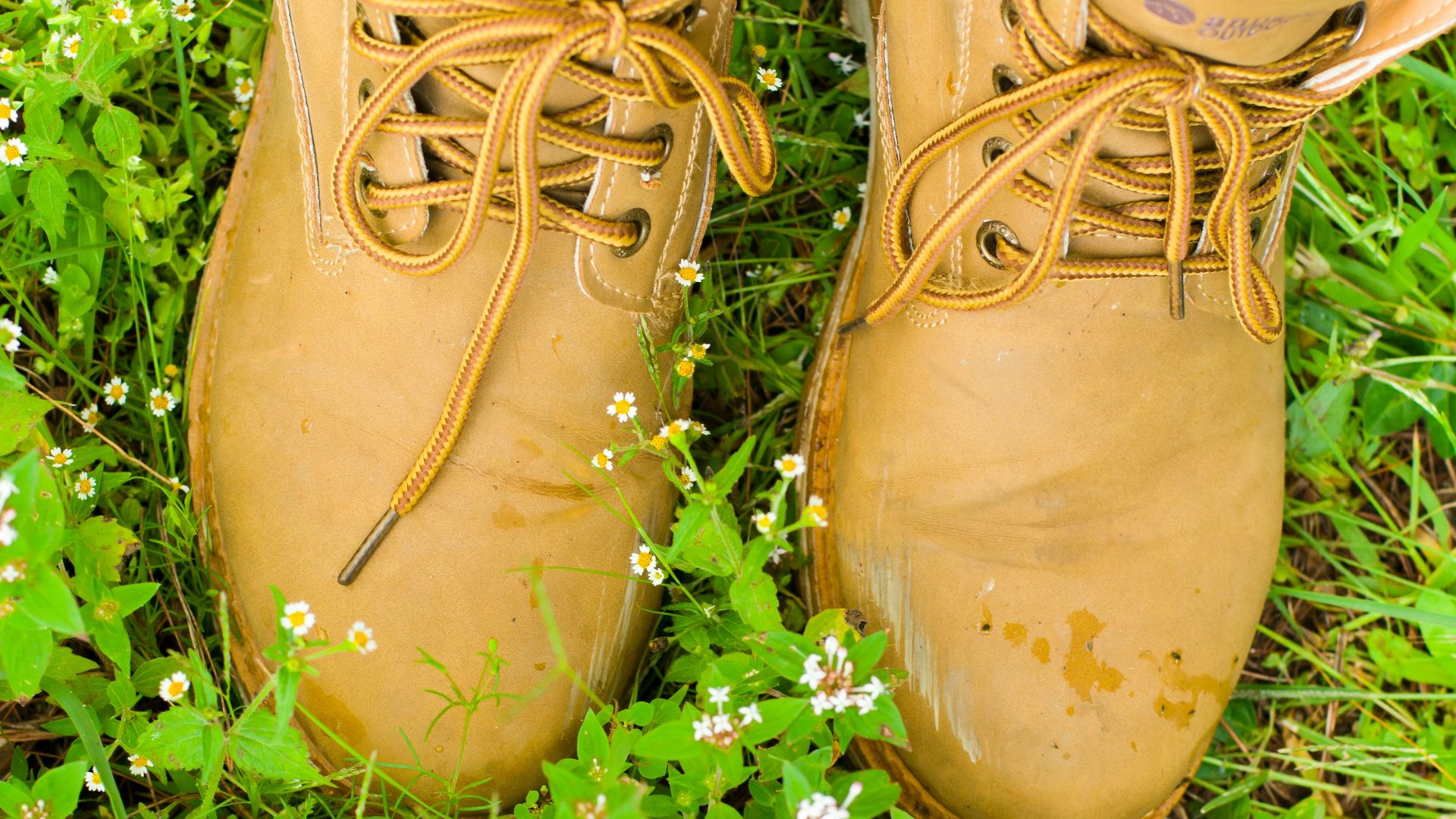 Tan work boots stand in green grass with small flowers