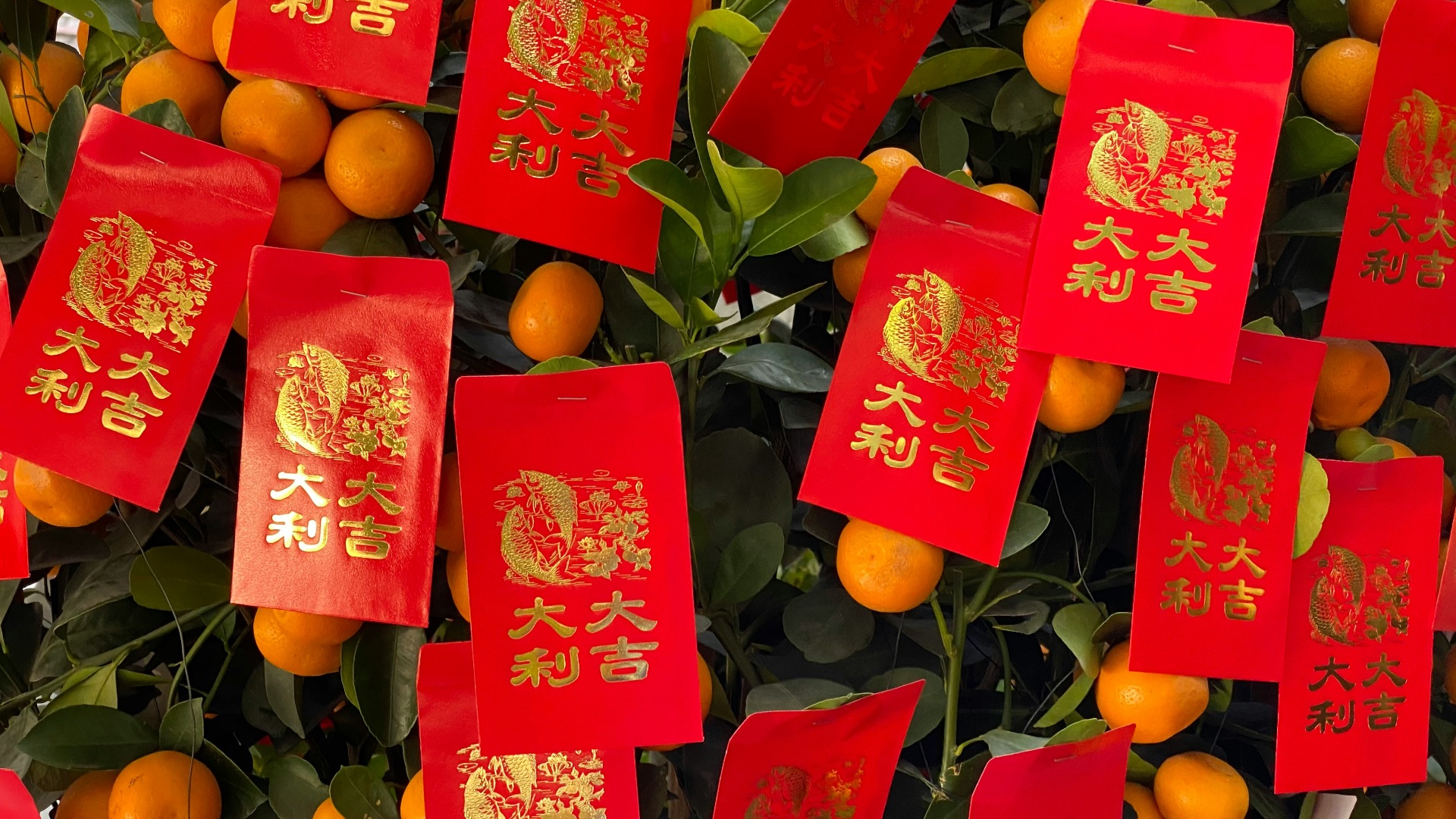 red and yellow fruit box