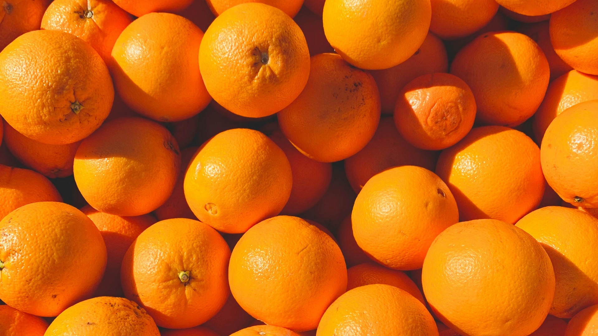 orange fruits on white ceramic plate