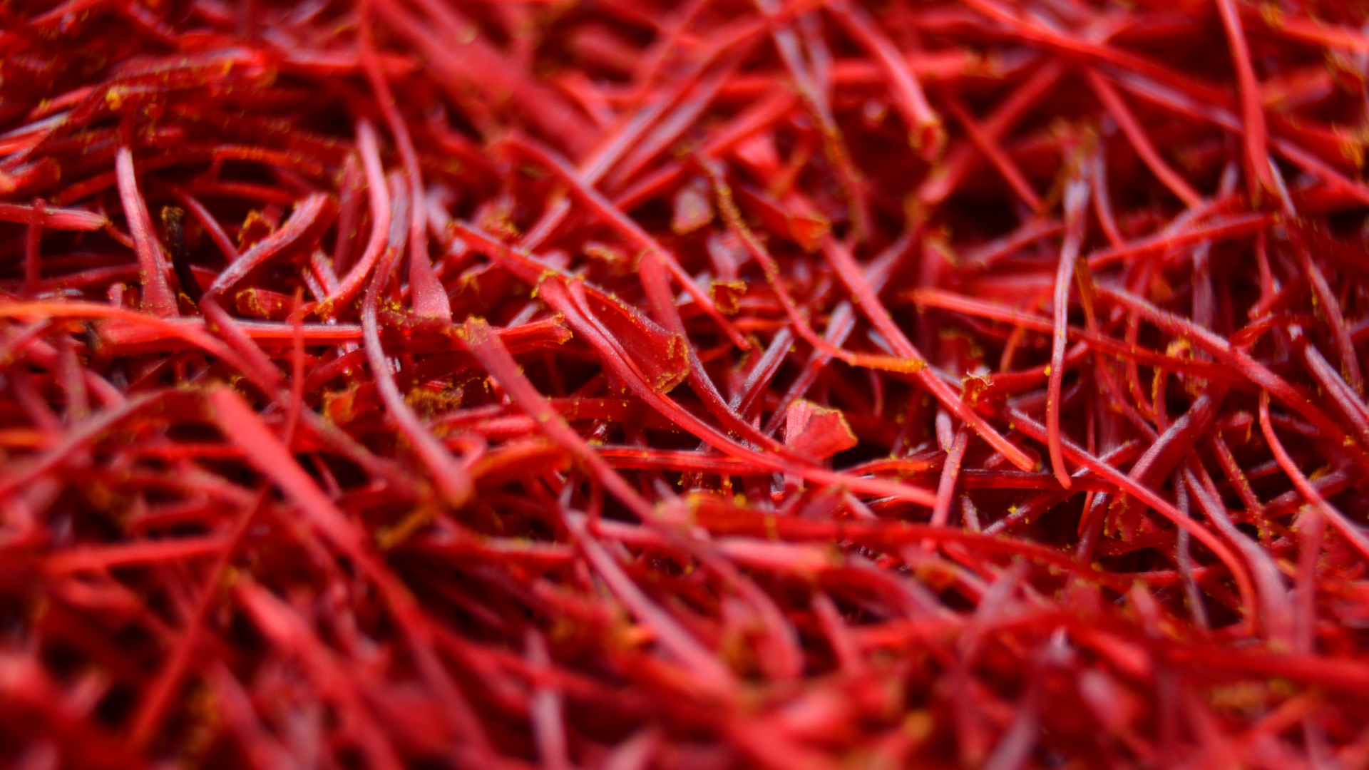 a close up of red hair