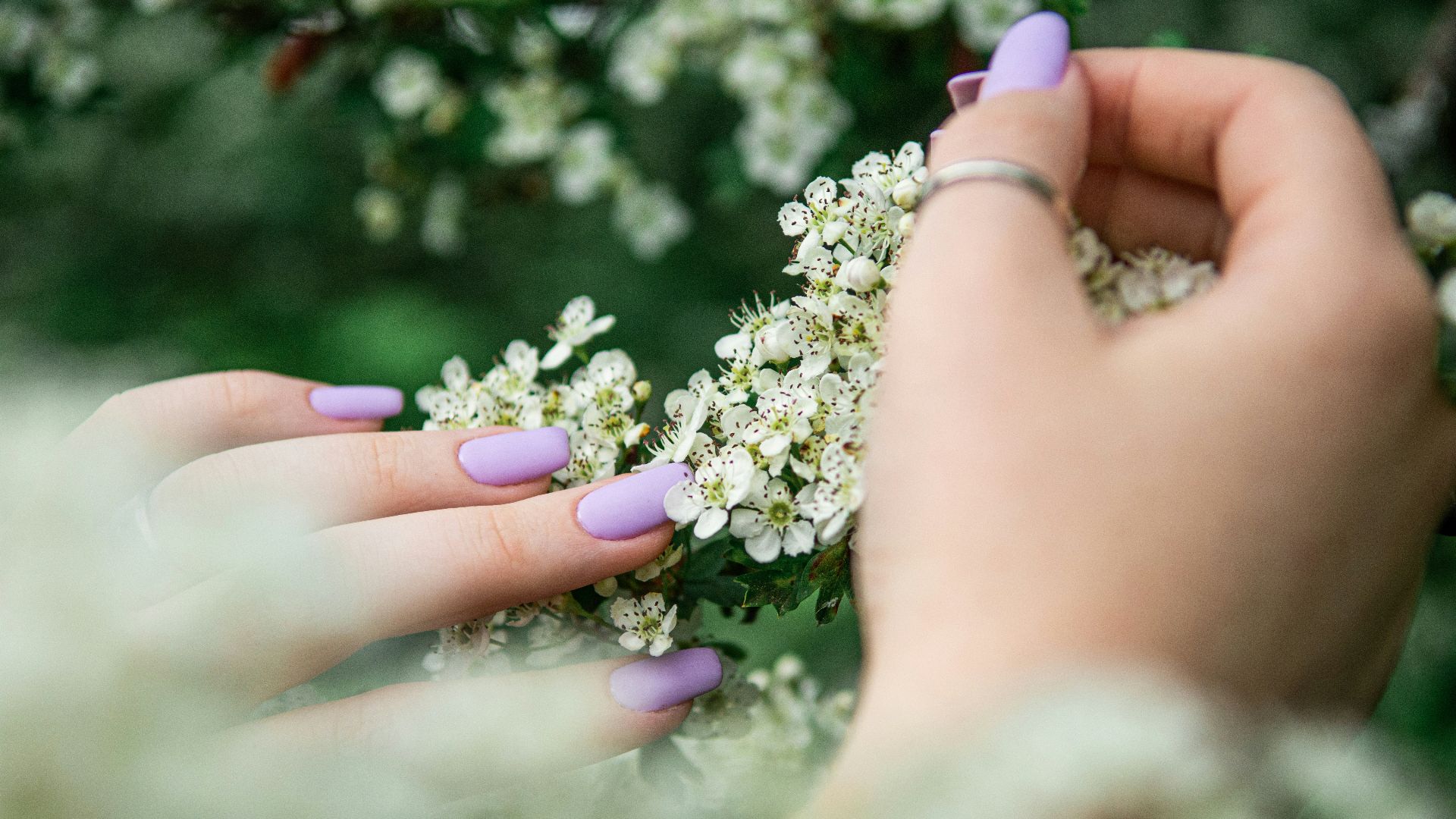 person holding white flower during daytime