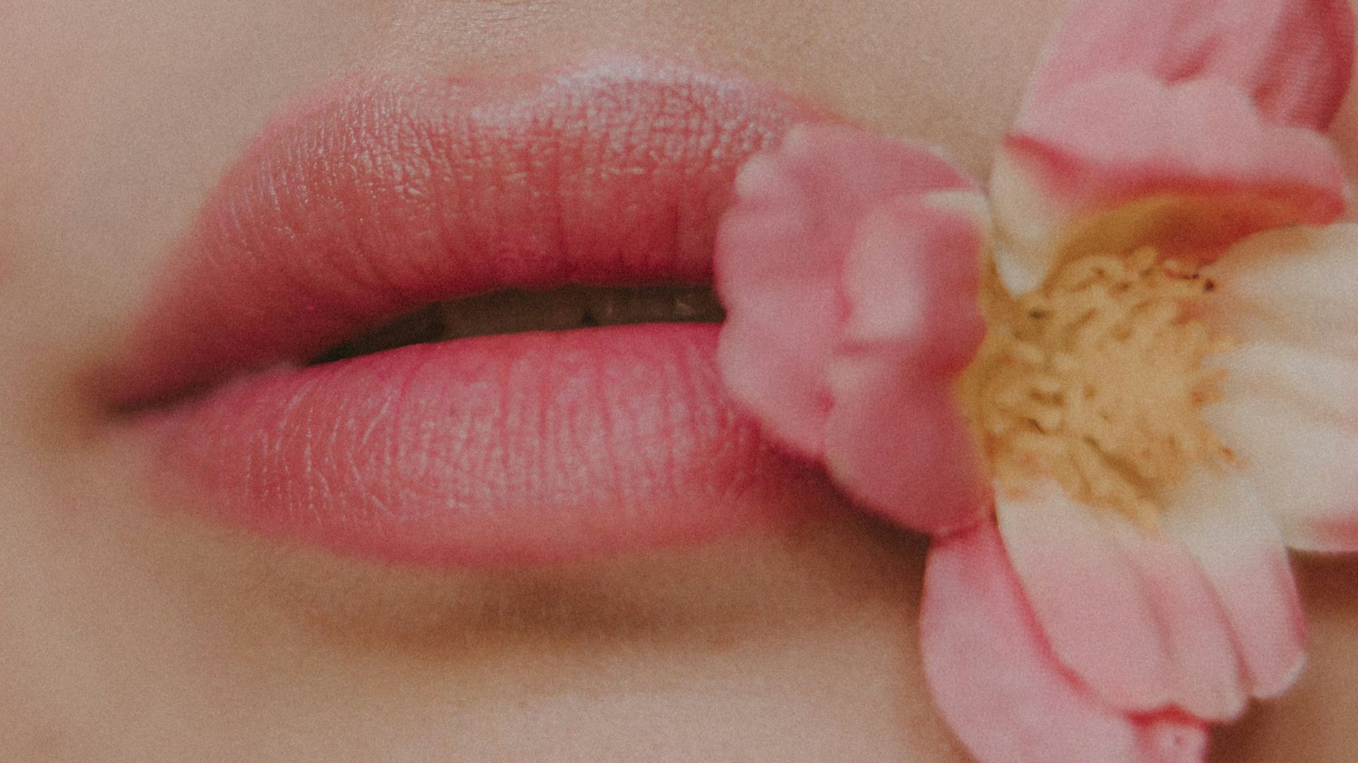 a close up of a woman's lips with a flower in her mouth