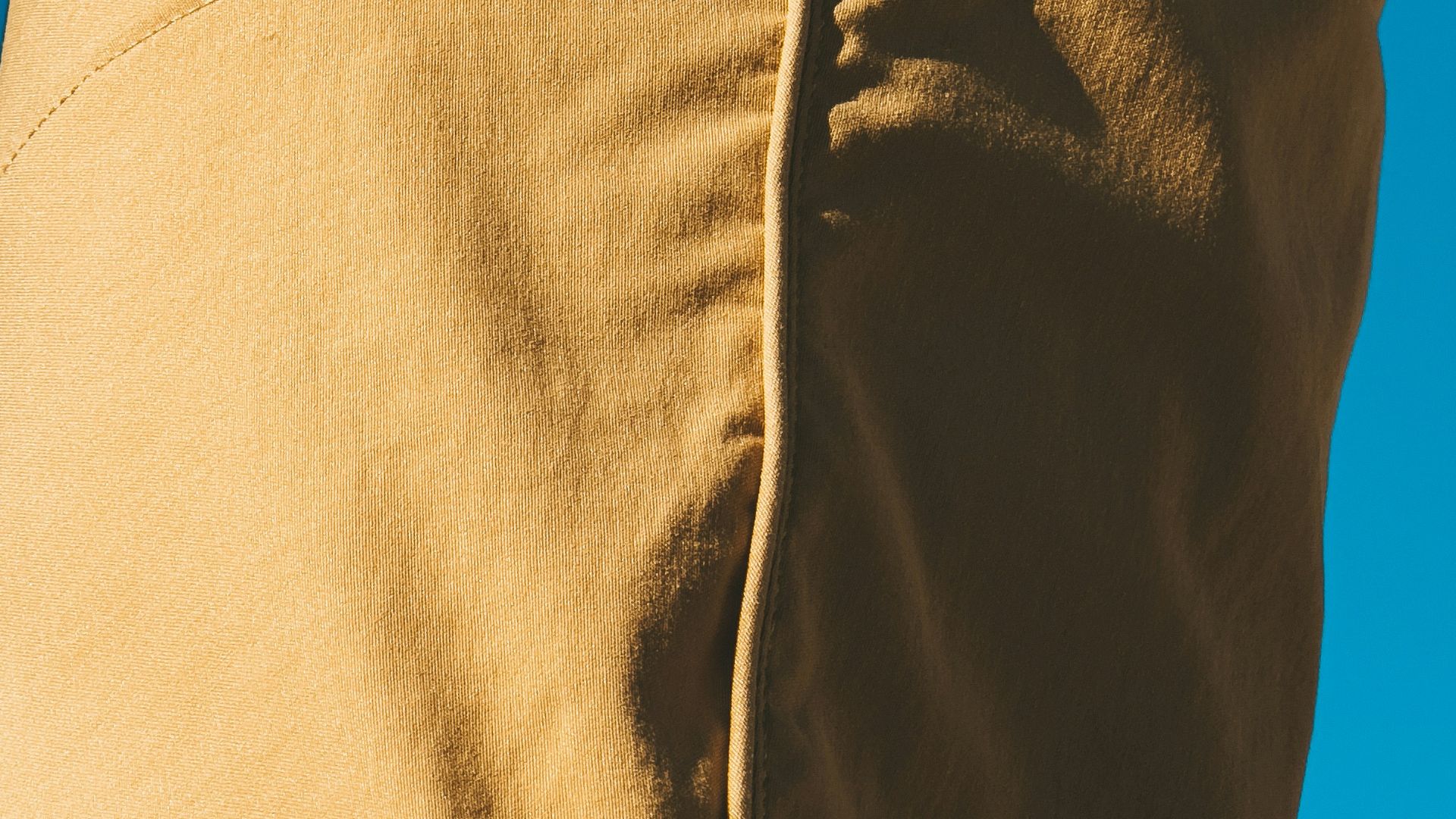 a close-up of a person's back