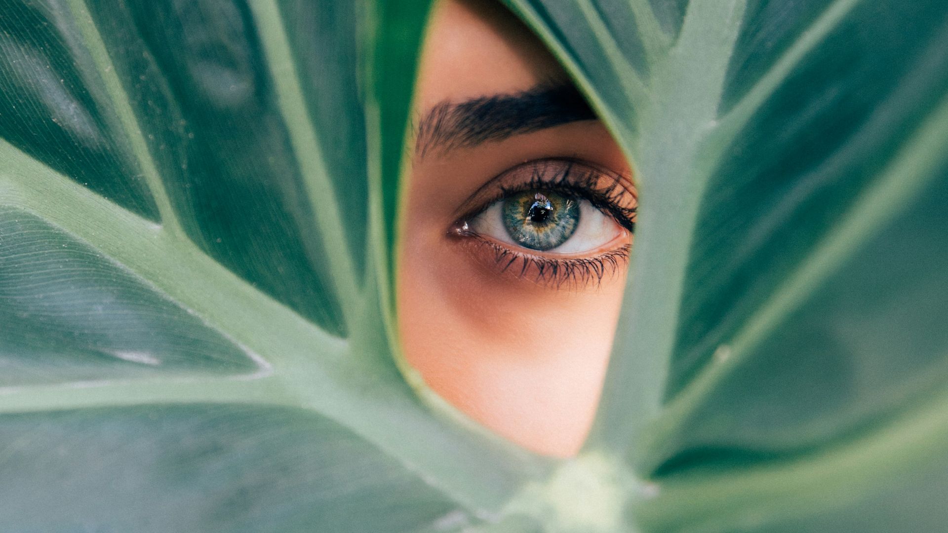 woman peeking over green leaf plant taken at daytime