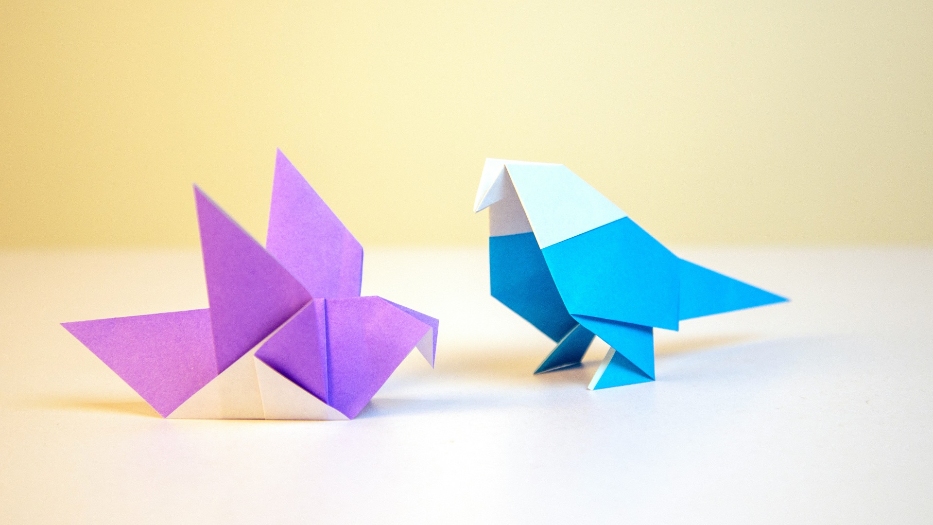 two purple and blue papers