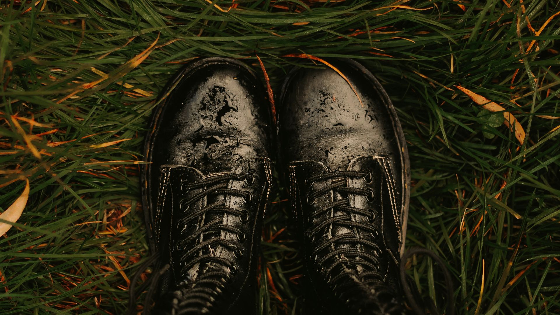 Pair of black combat boots on green grass