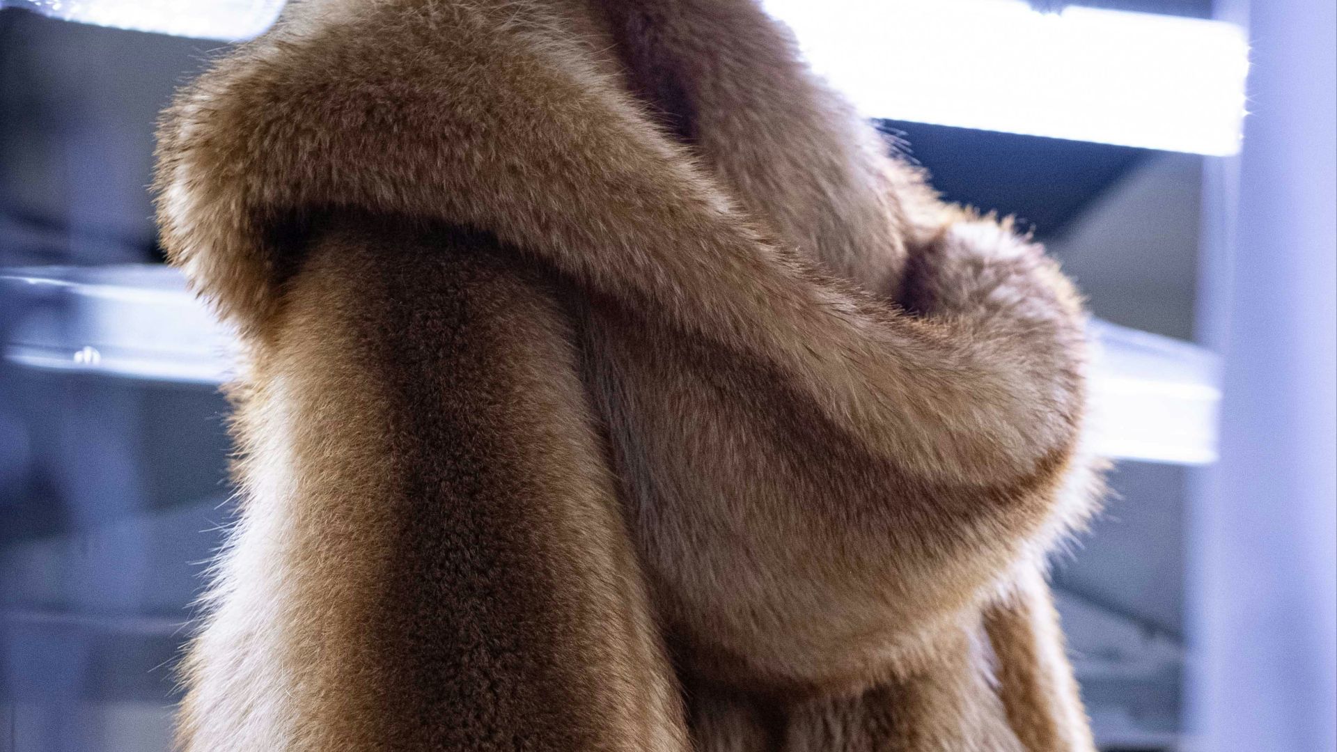 a fur coat hanging on a rack in a store