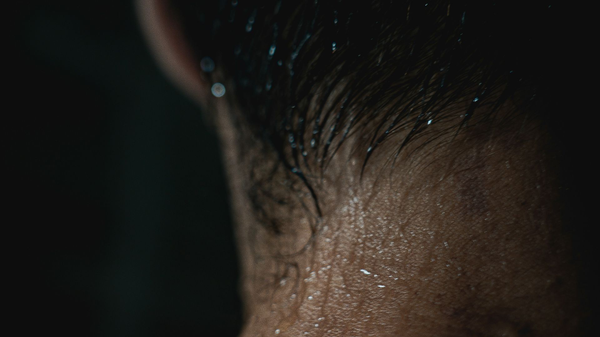 persons head with black hair