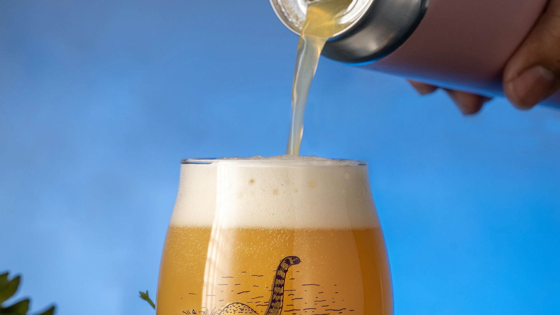 a hand pouring a glass of beer