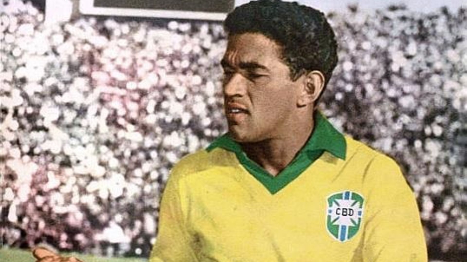 File:MFdSantos-Garrincha.jpg