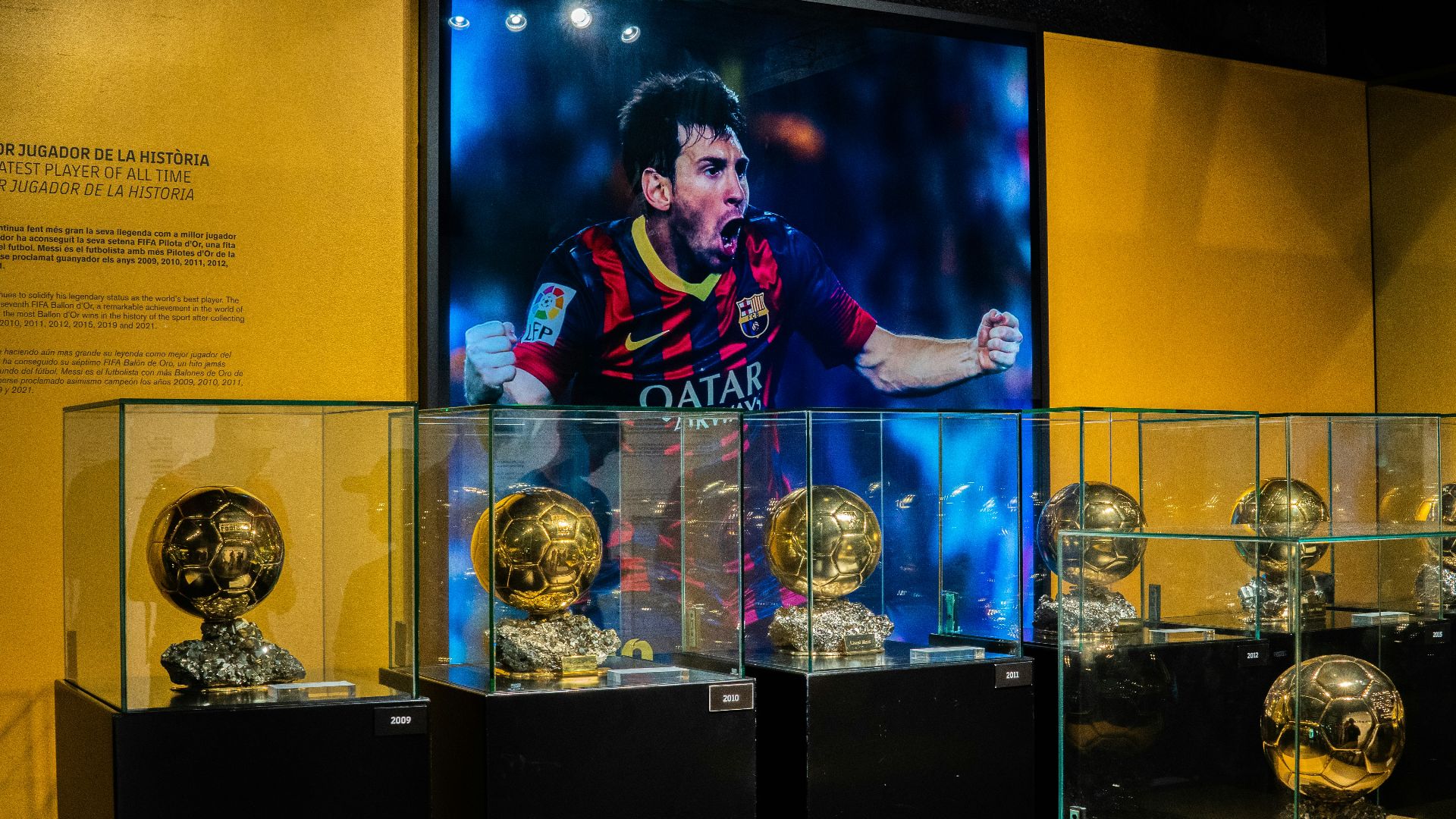 a person standing behind trophies