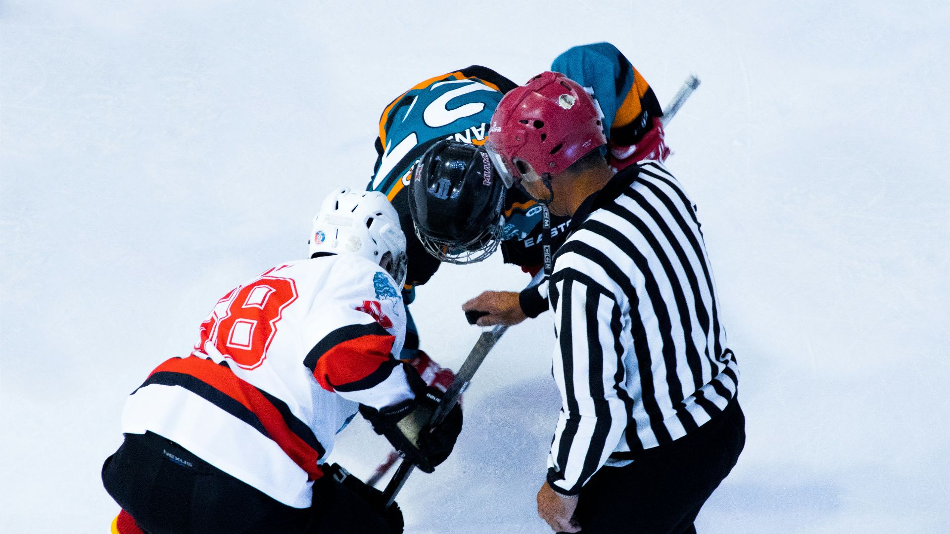 person playing hockey