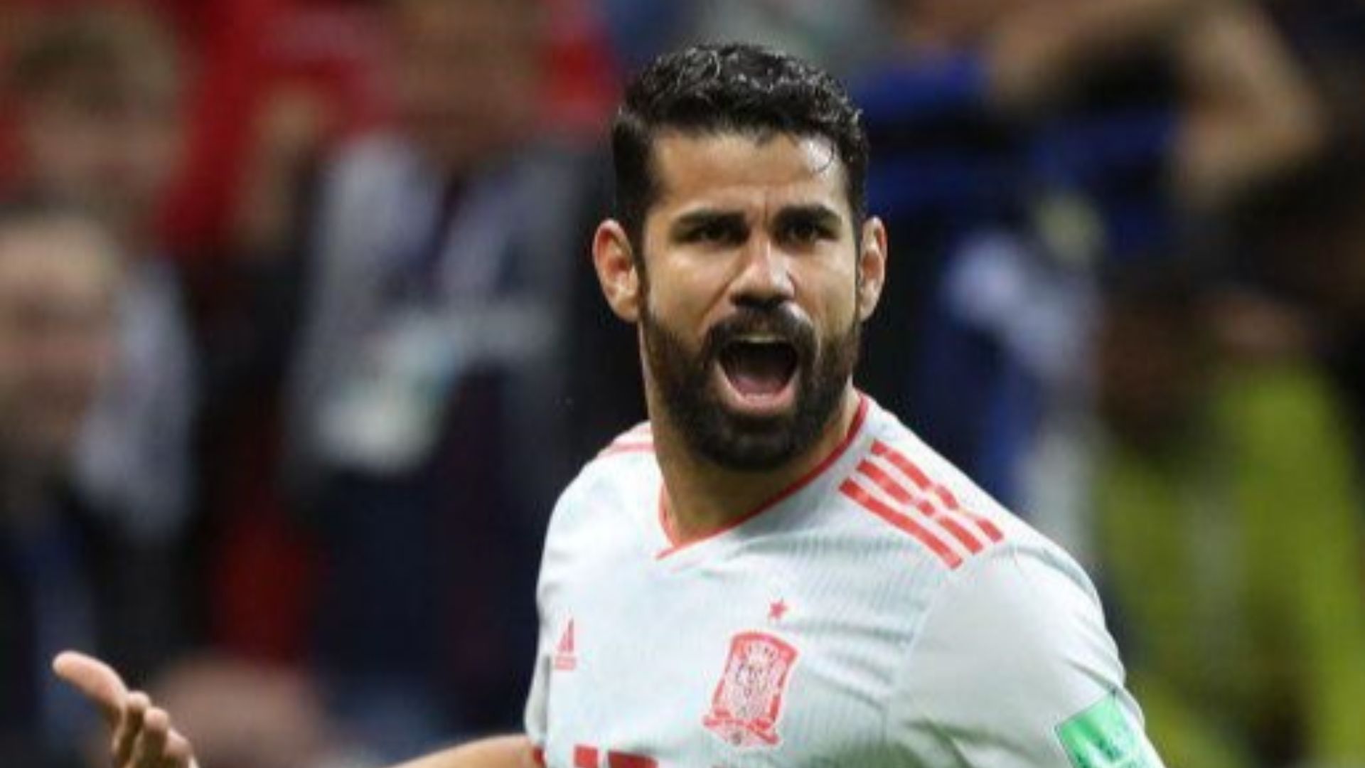 File:Iran and Spain match at the FIFA World Cup 23.jpg