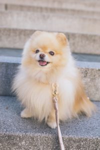 flouffy-VBkIK3qj3QE-unsplash-200x300.jpg