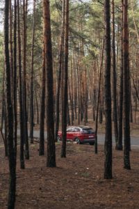 olena-sergienko-cXVoDxe71BQ-unsplash-200x300.jpg
