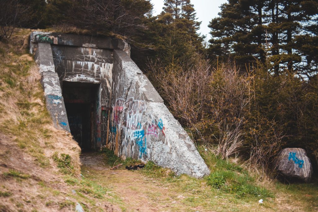 erik-mclean-D8qiffAIWH4-unsplash-1024x683.jpg