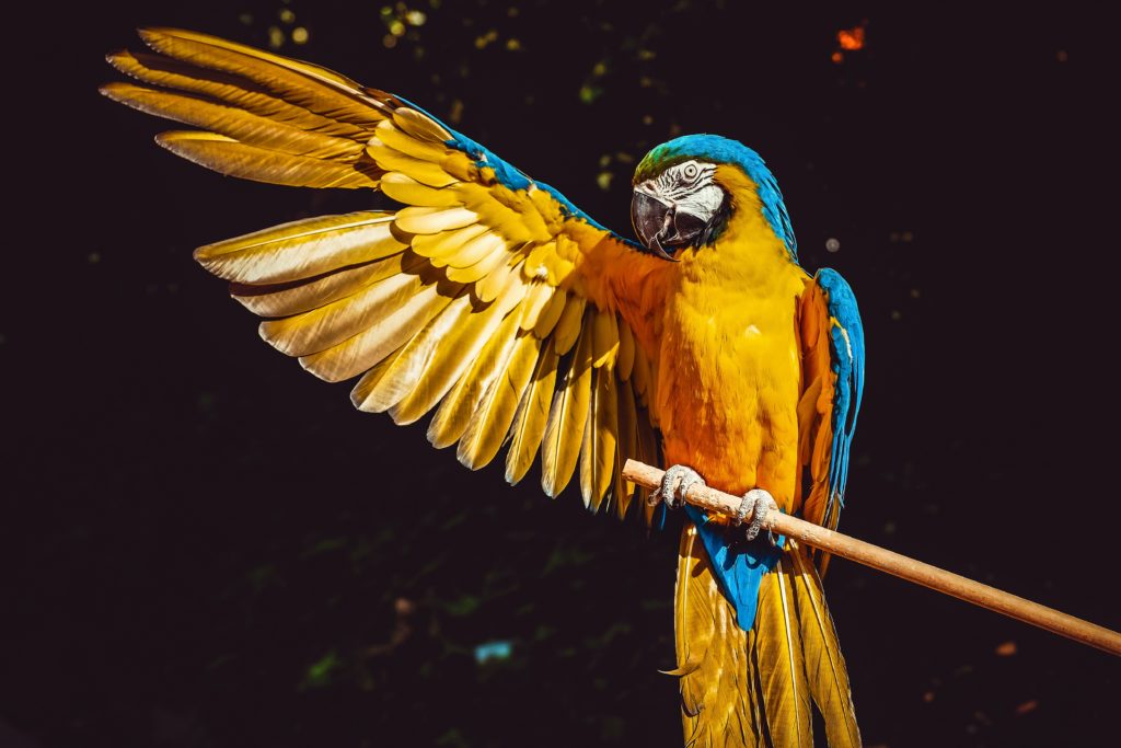 ilona-frey-0UKyrKCoutM-unsplash-1024x683.jpg