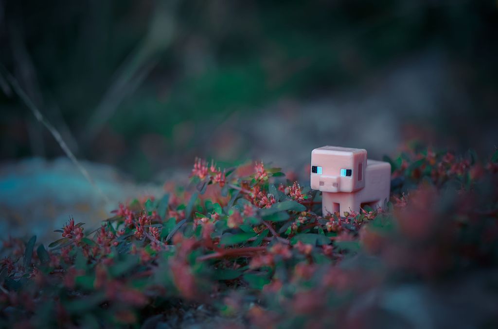 Minecraft Pig (15735062557)
