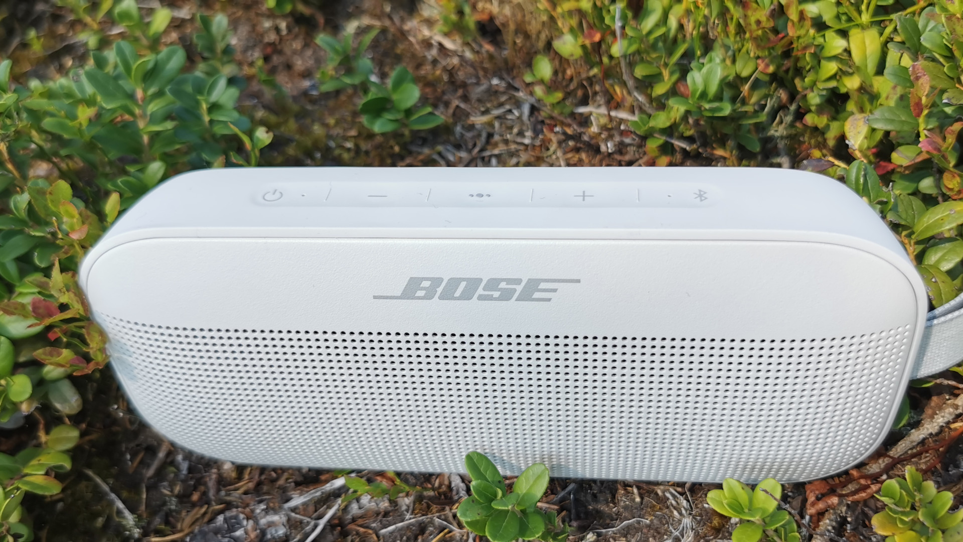 File:Bose SoundLink Flex Bluetooth® Speaker (white).jpeg