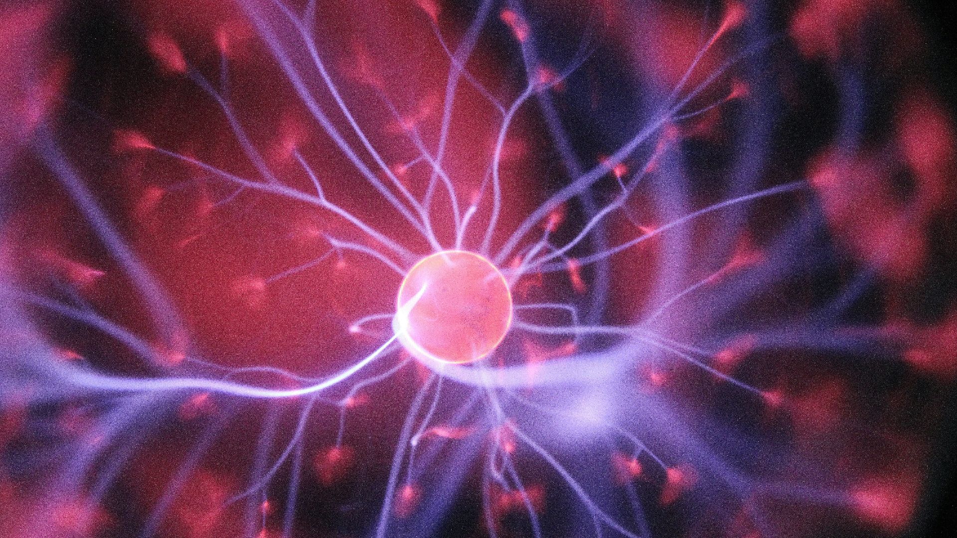 purple and pink plasma ball