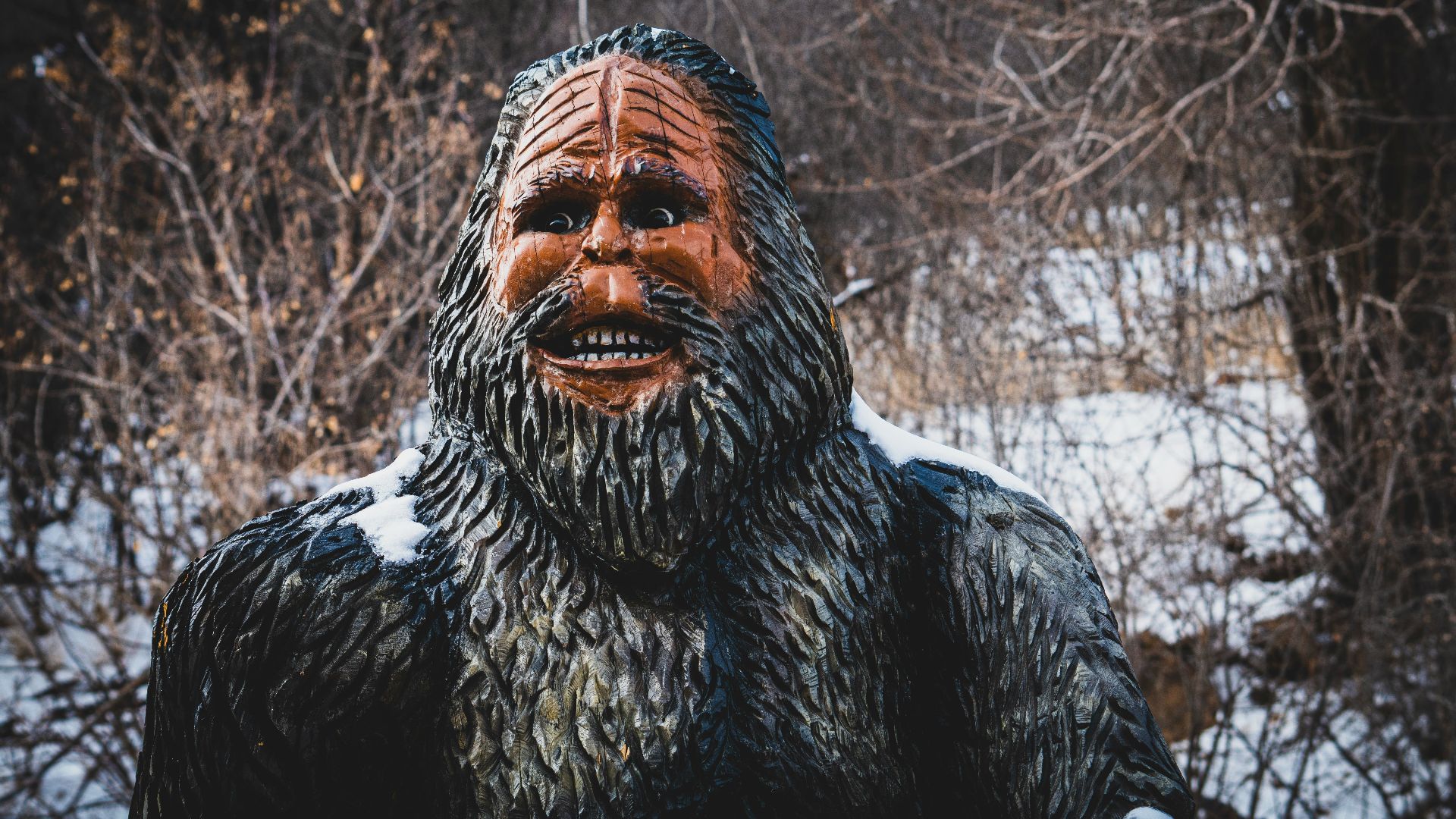 a person with a beard