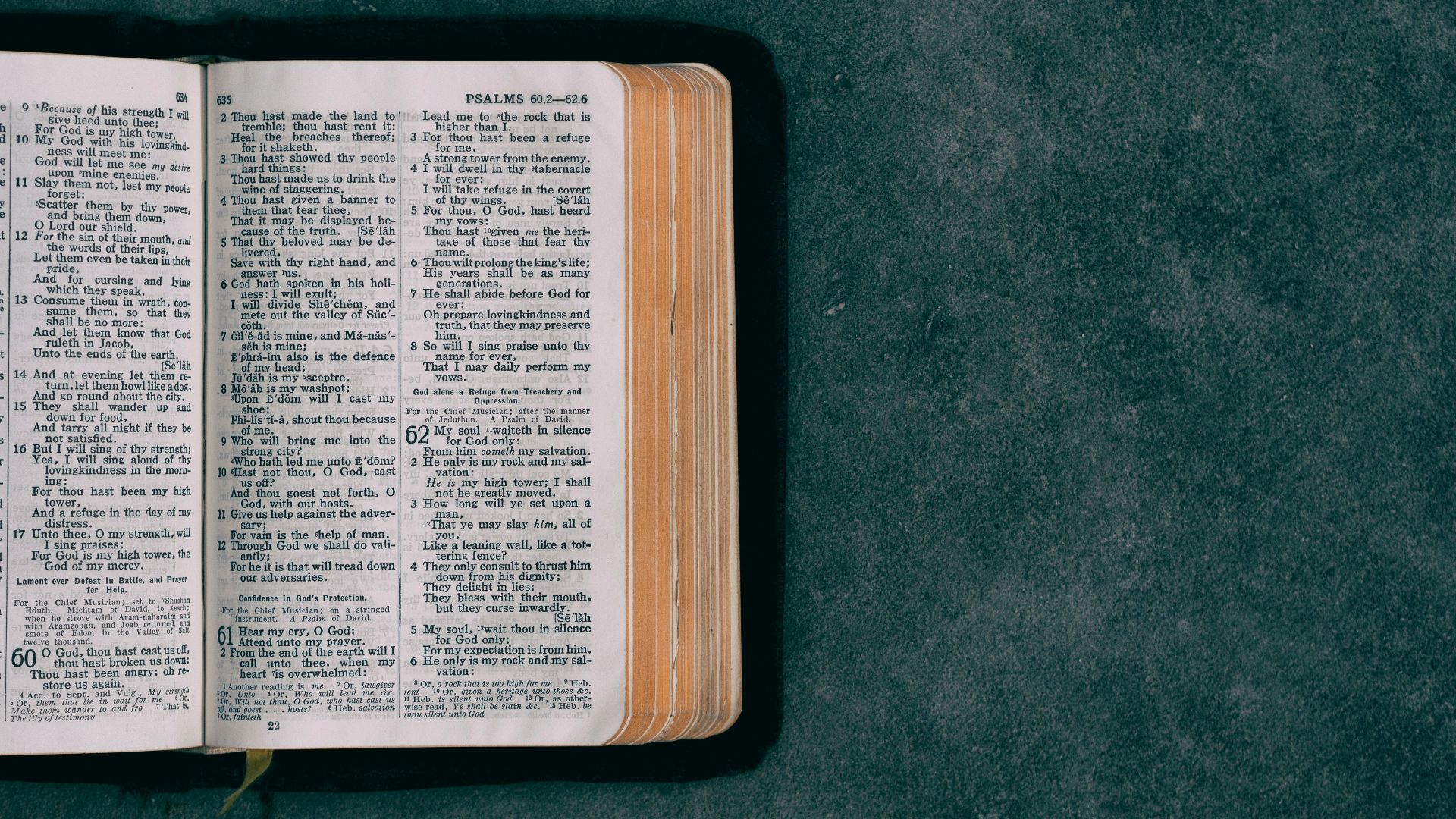 open pocket bible on green surface