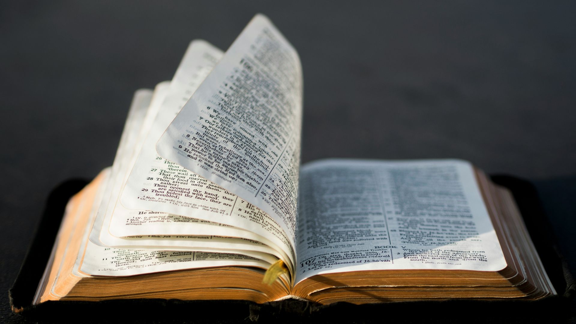 open book