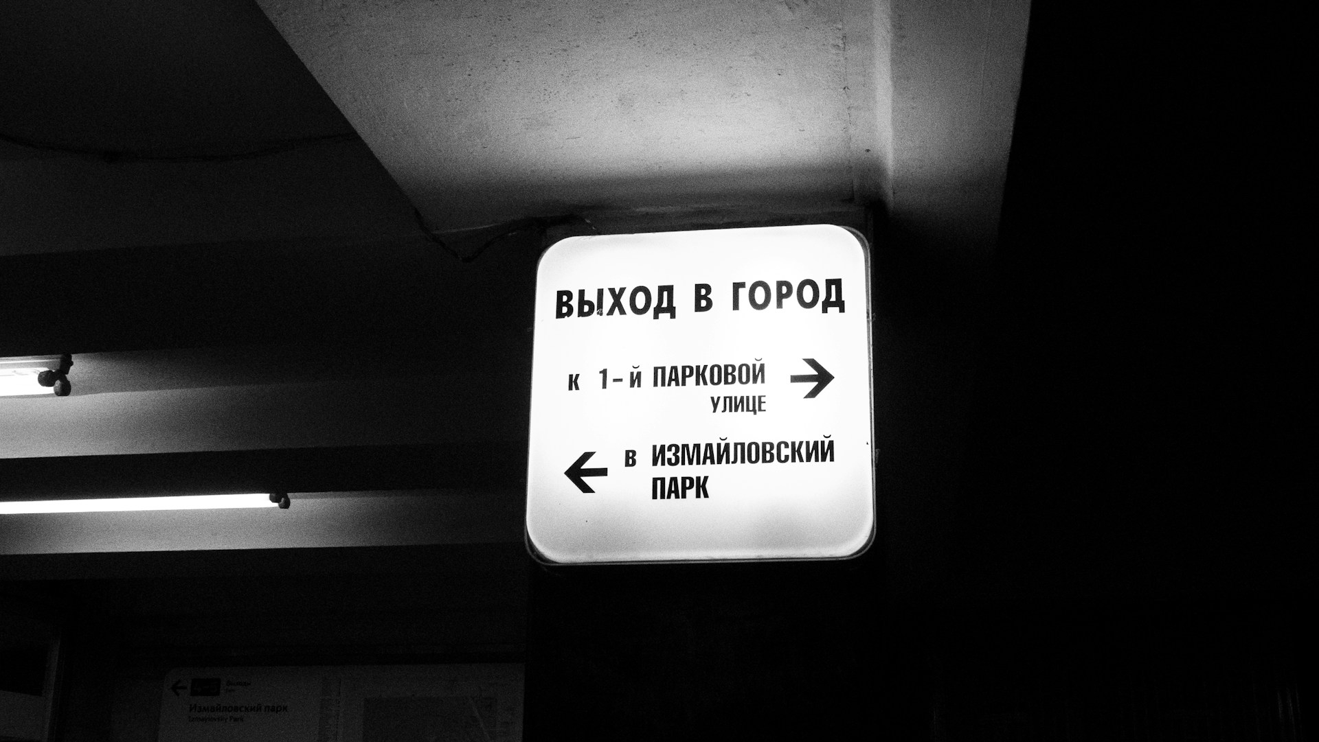 Adrian-Negura-Q-Gppz98Ji0-Unsplash