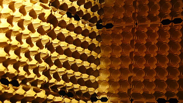 Egg Box Soundproofing - Rafaël Reverdy-Carrasco's Musique Maison (2016-09-26 17.06.23 By Rafaël Reverdy-Carrasco @Flickr 30903485978)