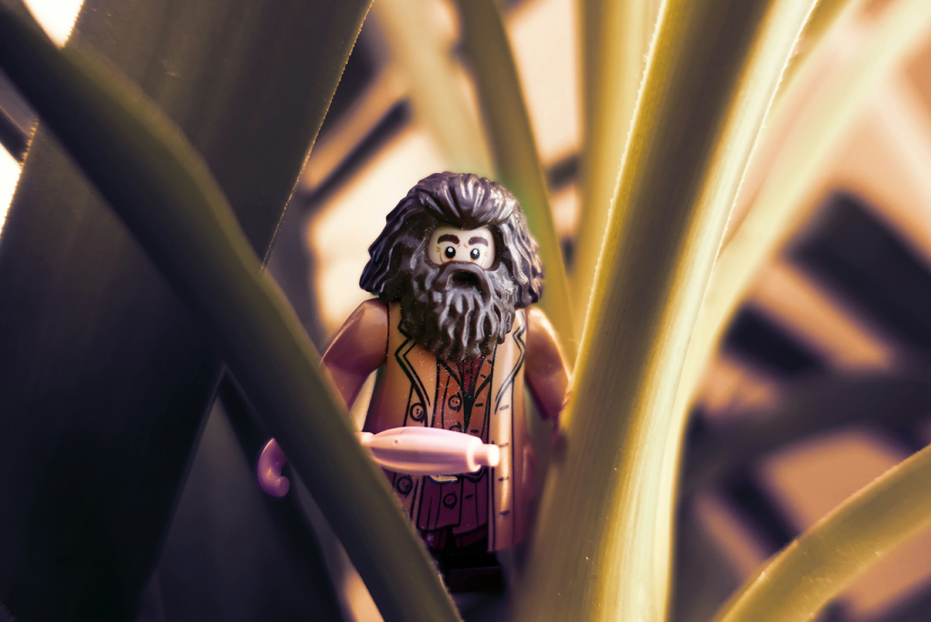 Lan-Gao-X8Nbhecgoli-Unsplash