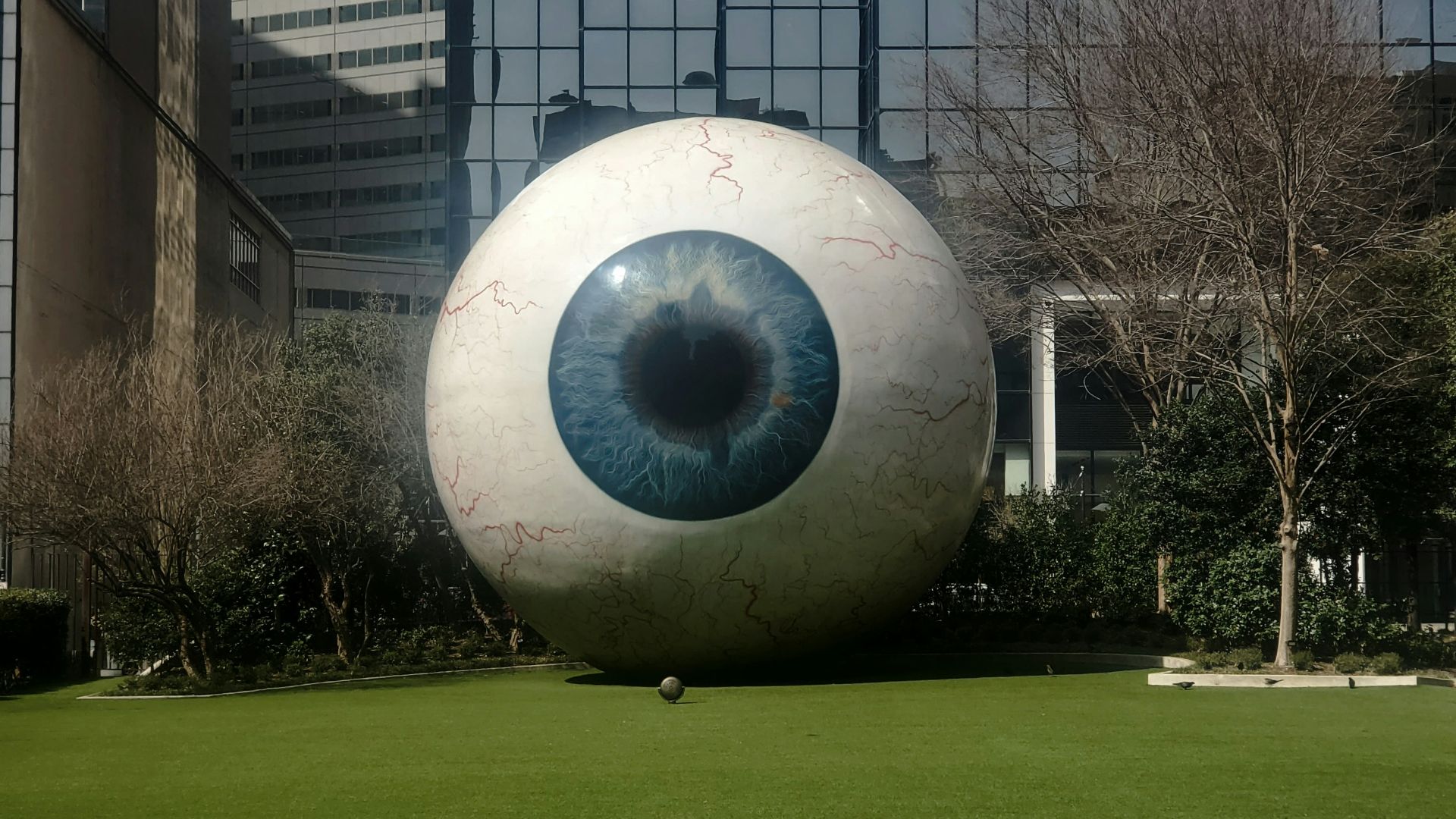 a large eyeball sitting in the middle of a field