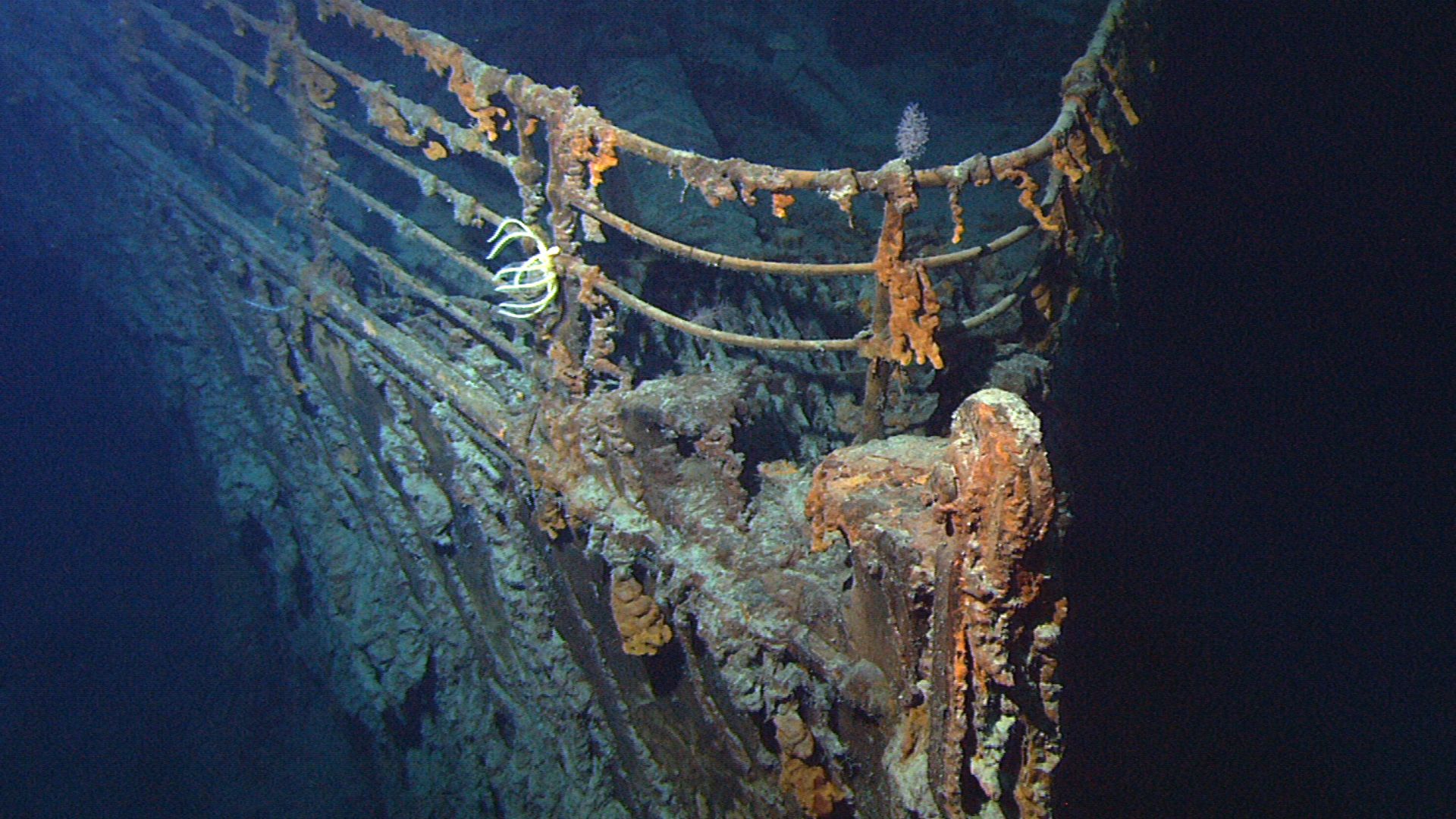 File:Titanic wreck bow.jpg