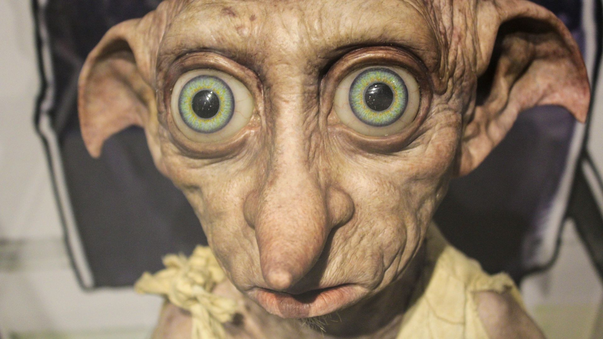 man in white shirt wearing brown hat