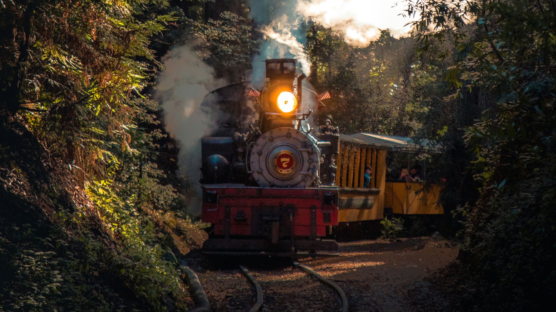 gray and red train running on rail in between trees at daytime
