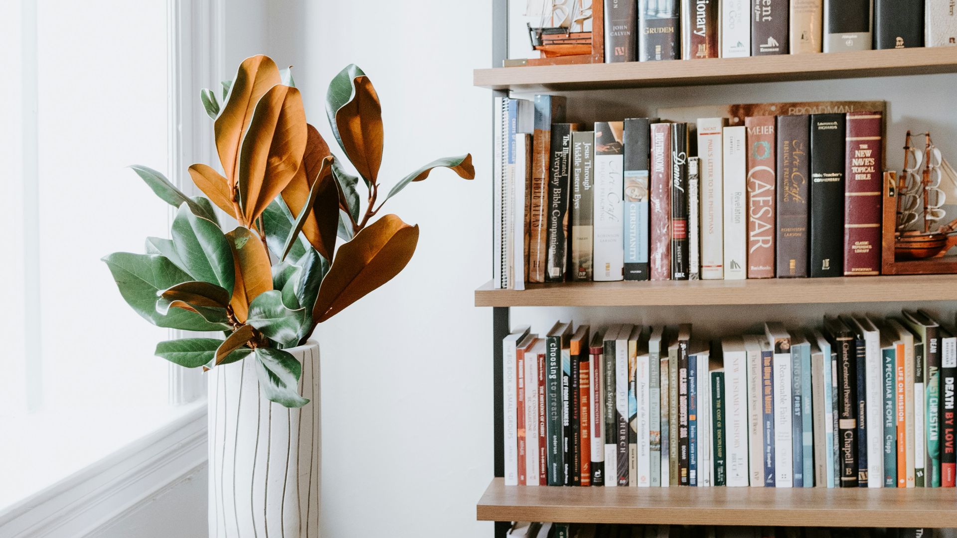 books on white wooden shelf