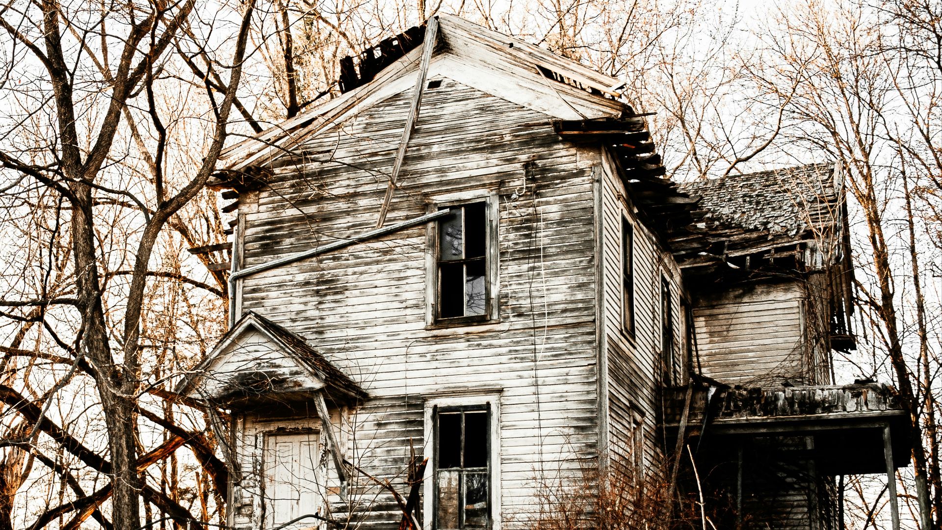 white and black wooden house near bare trees during daytime