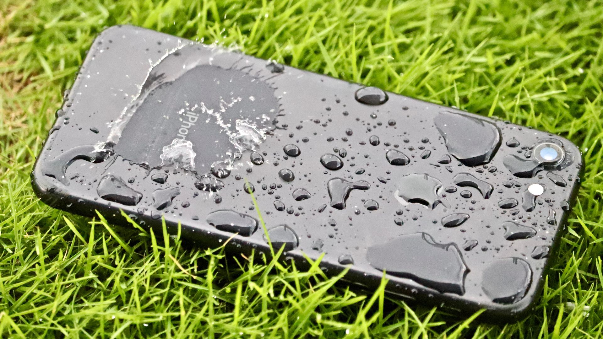 File:IPhone 7 in rain (July 2019) 2.jpg